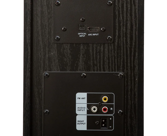  Портативная акустика ELTRONIC 20-81 Home Sound черный 